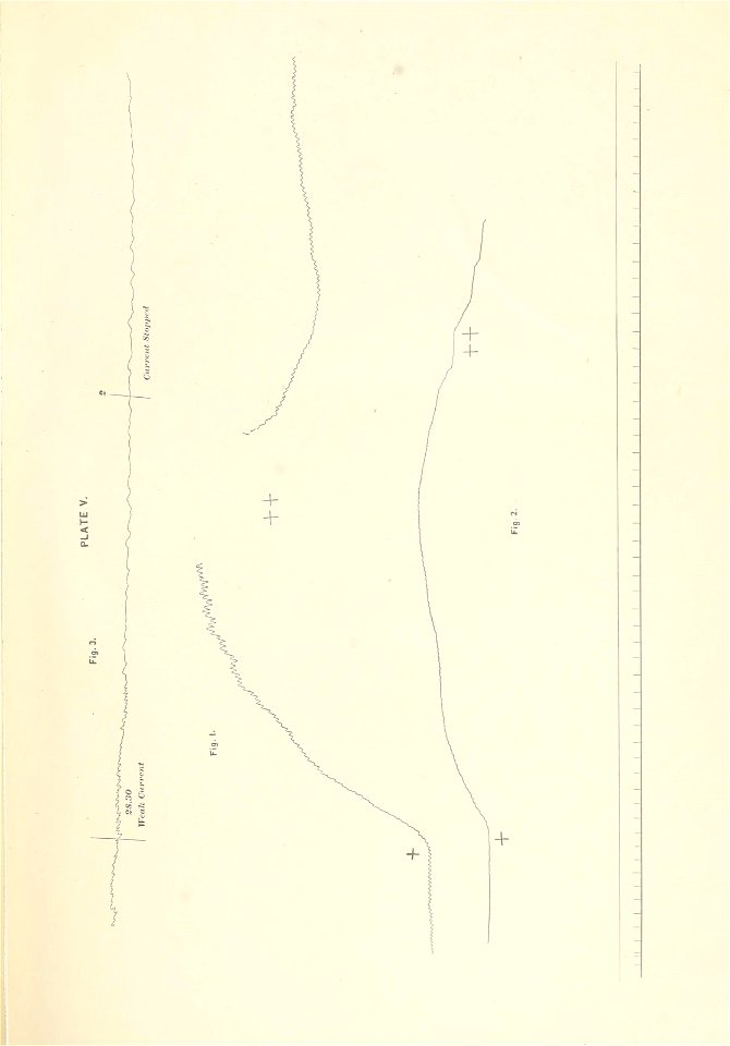 n808_w1150
