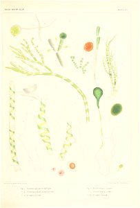 n382_w1150