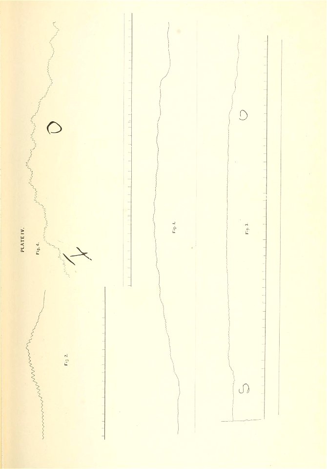 n806_w1150
