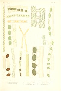 n380_w1150