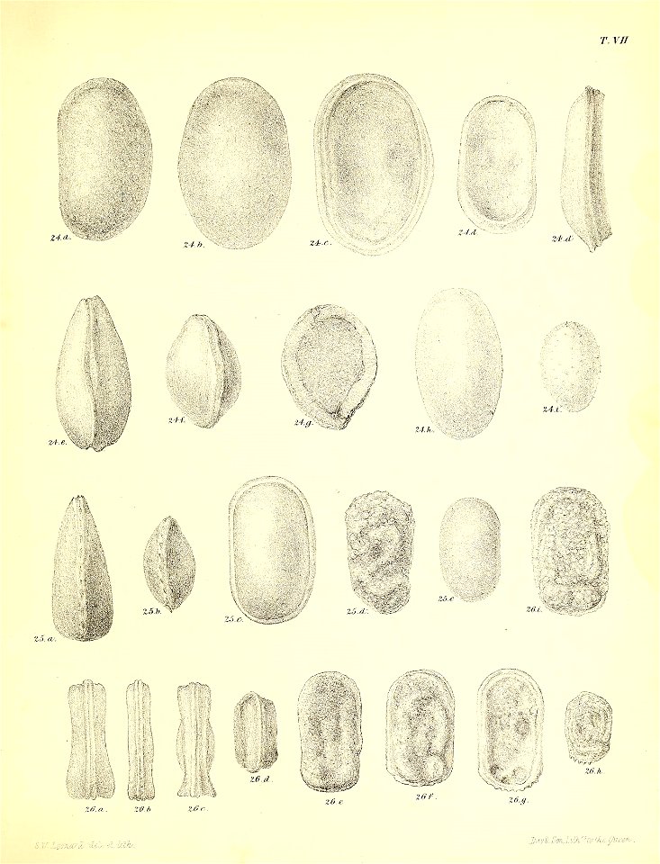 n498_w1150
