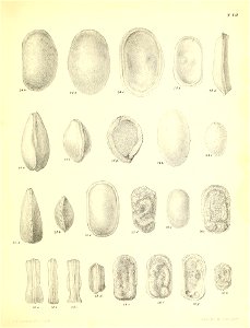 n498_w1150