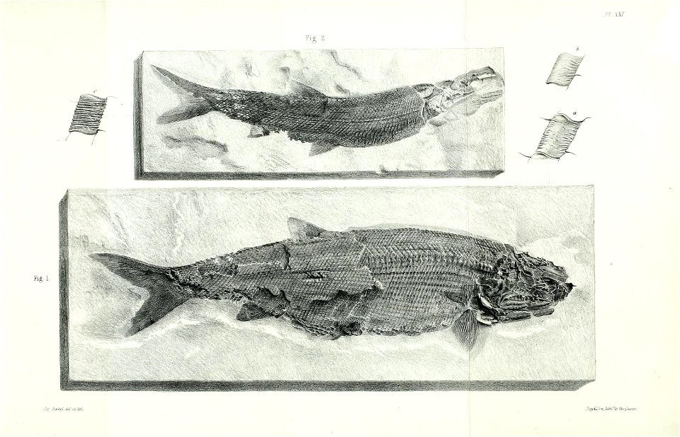 n382_w1150