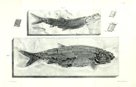 n382_w1150