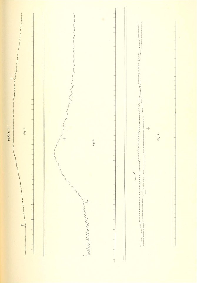 n804_w1150