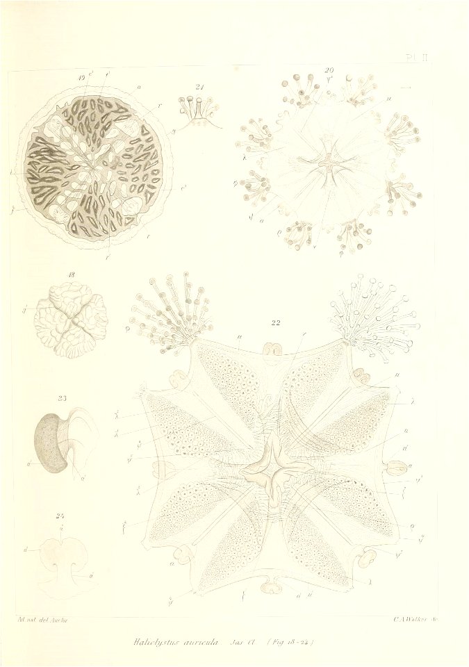 n162_w1150