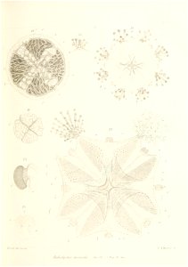 n162_w1150