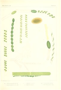n378_w1150