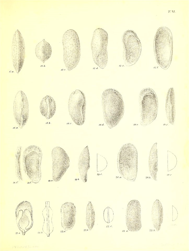 n494_w1150