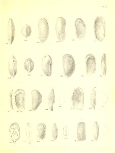 n494_w1150