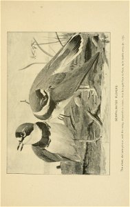 n214_w1150