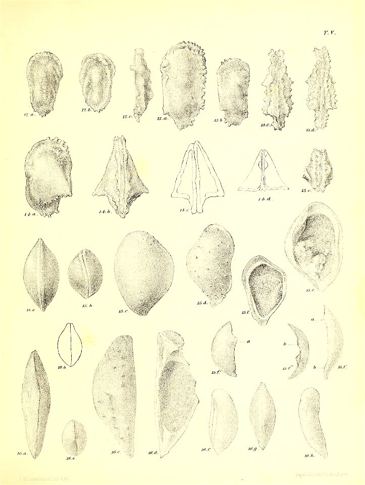n490_w1150