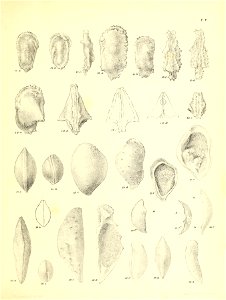 n490_w1150