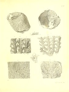n312_w1150
