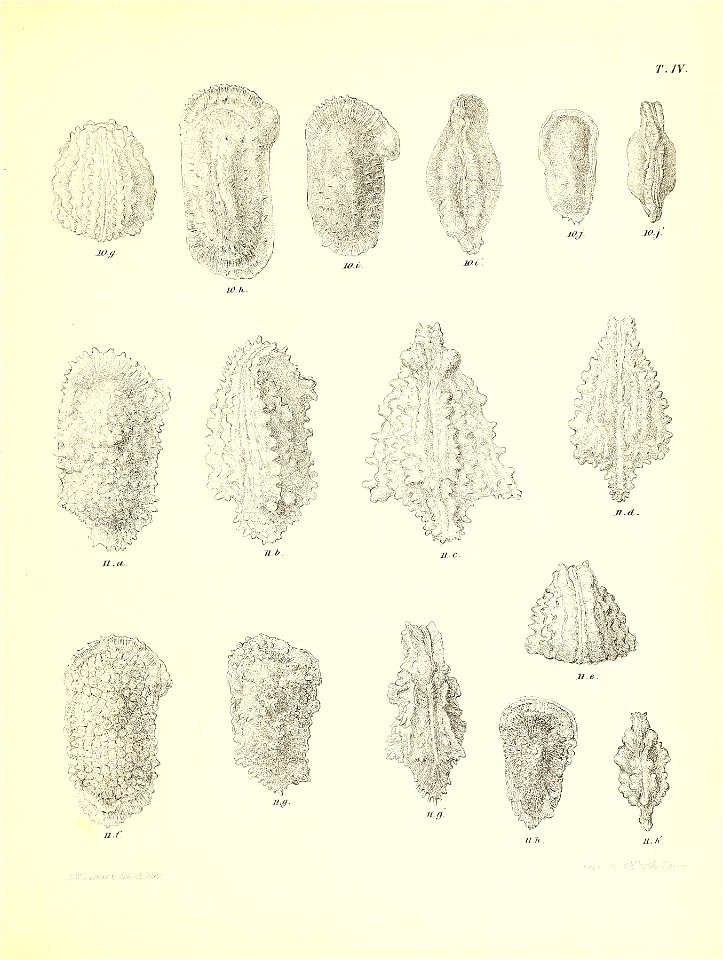 n486_w1150