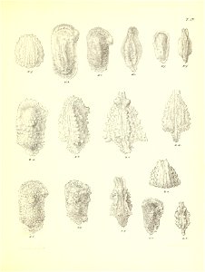 n486_w1150