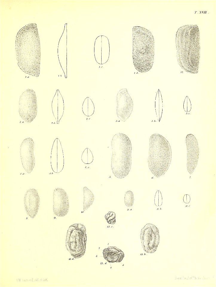 n368_w1150