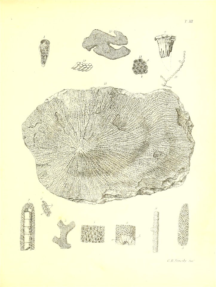 n308_w1150