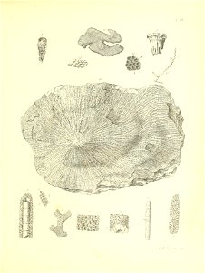 n308_w1150