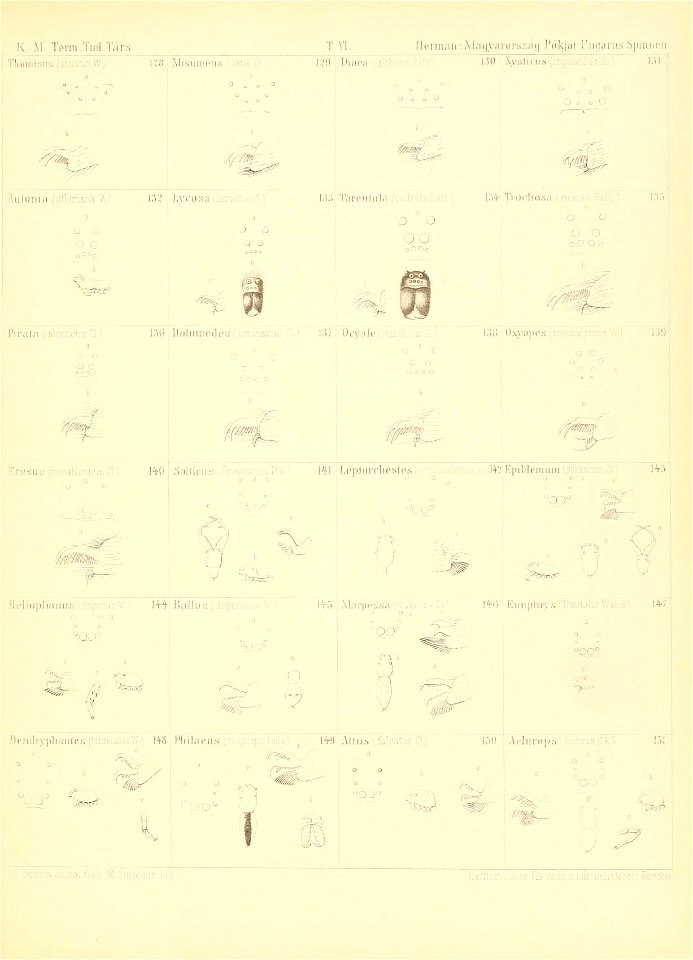 n116_w1150
