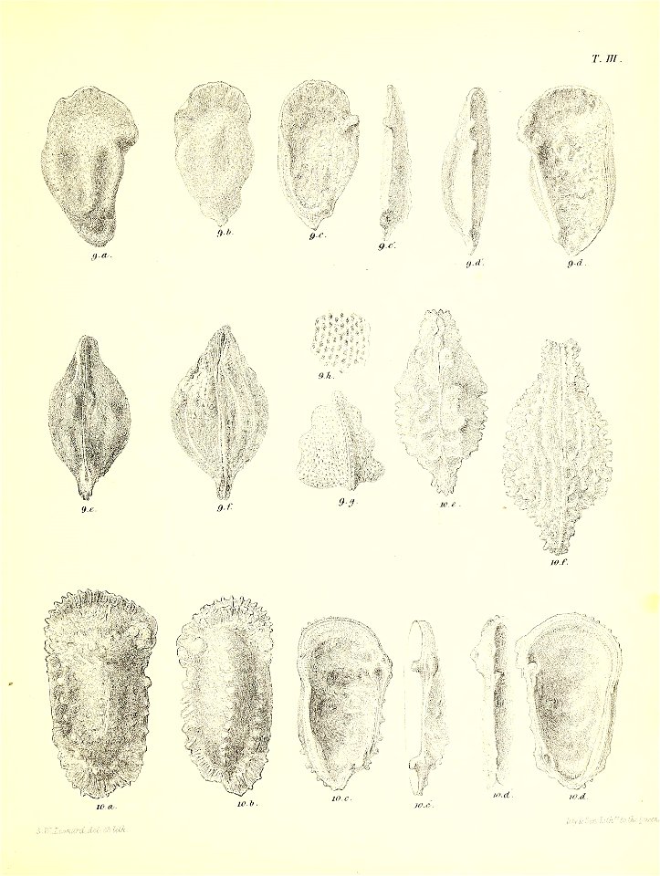n482_w1150