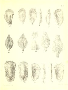 n482_w1150
