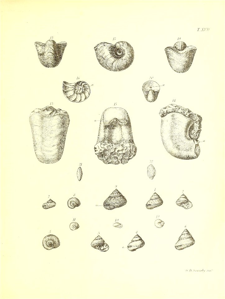 n364_w1150