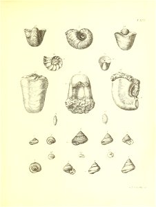 n364_w1150