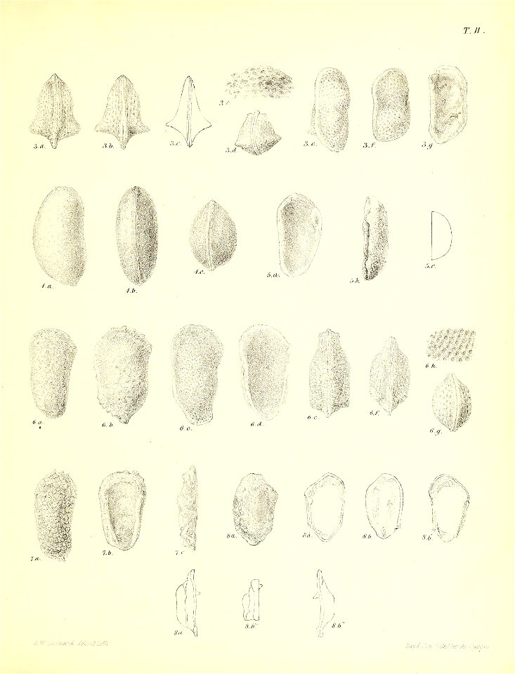 n478_w1150
