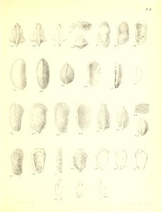 n478_w1150