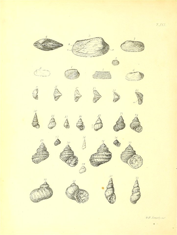 n359_w1150