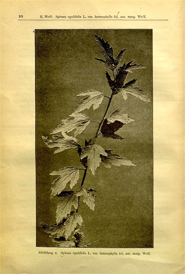 n11_w1150