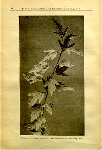 n11_w1150