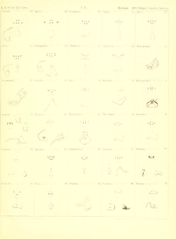 n112_w1150