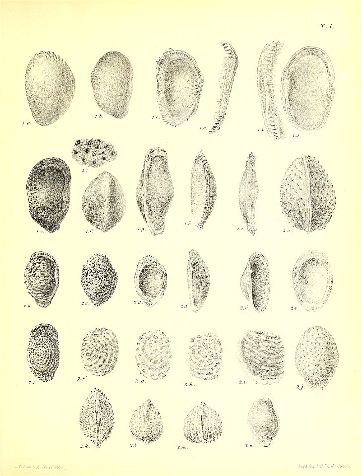 n474_w1150