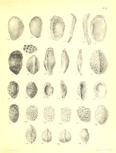 n474_w1150