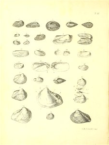 n355_w1150