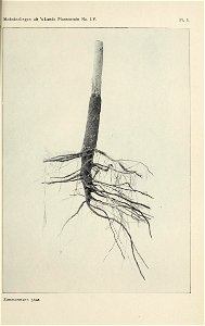 n122_w1150
