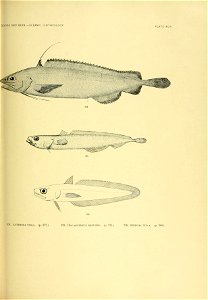 n254_w1150