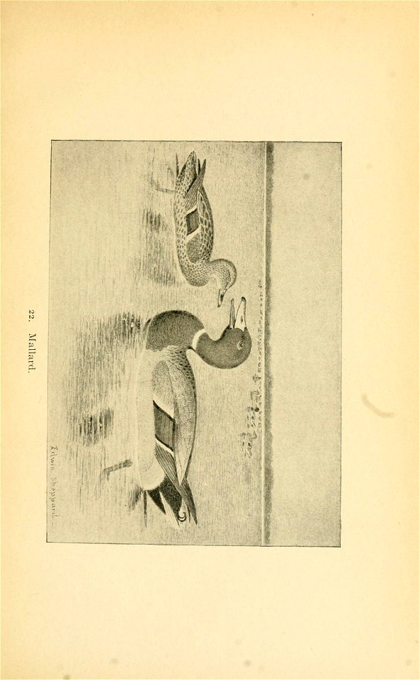 n148_w1150