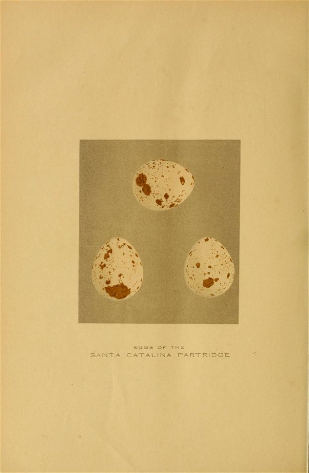 n269_w1150