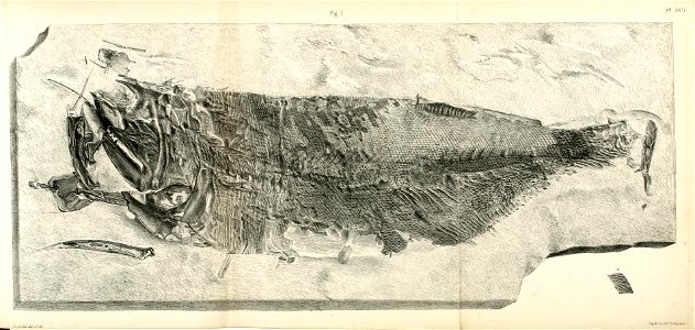 n398_w1150