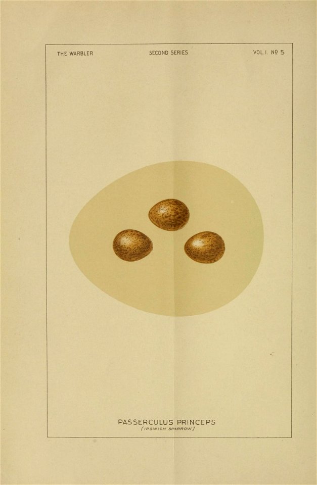 n81_w1150