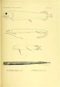 n140_w1150