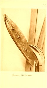 n204_w1150