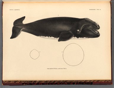 n150_w1150