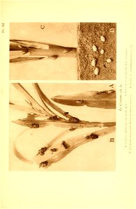 n248_w1150