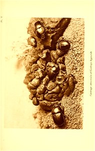 n202_w1150