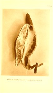 n228_w1150