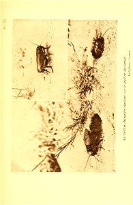 n280_w1150